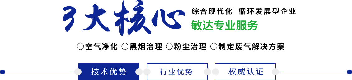 嗯灬啊灬快灬高潮了视频动漫敏达环保科技（嘉兴）有限公司